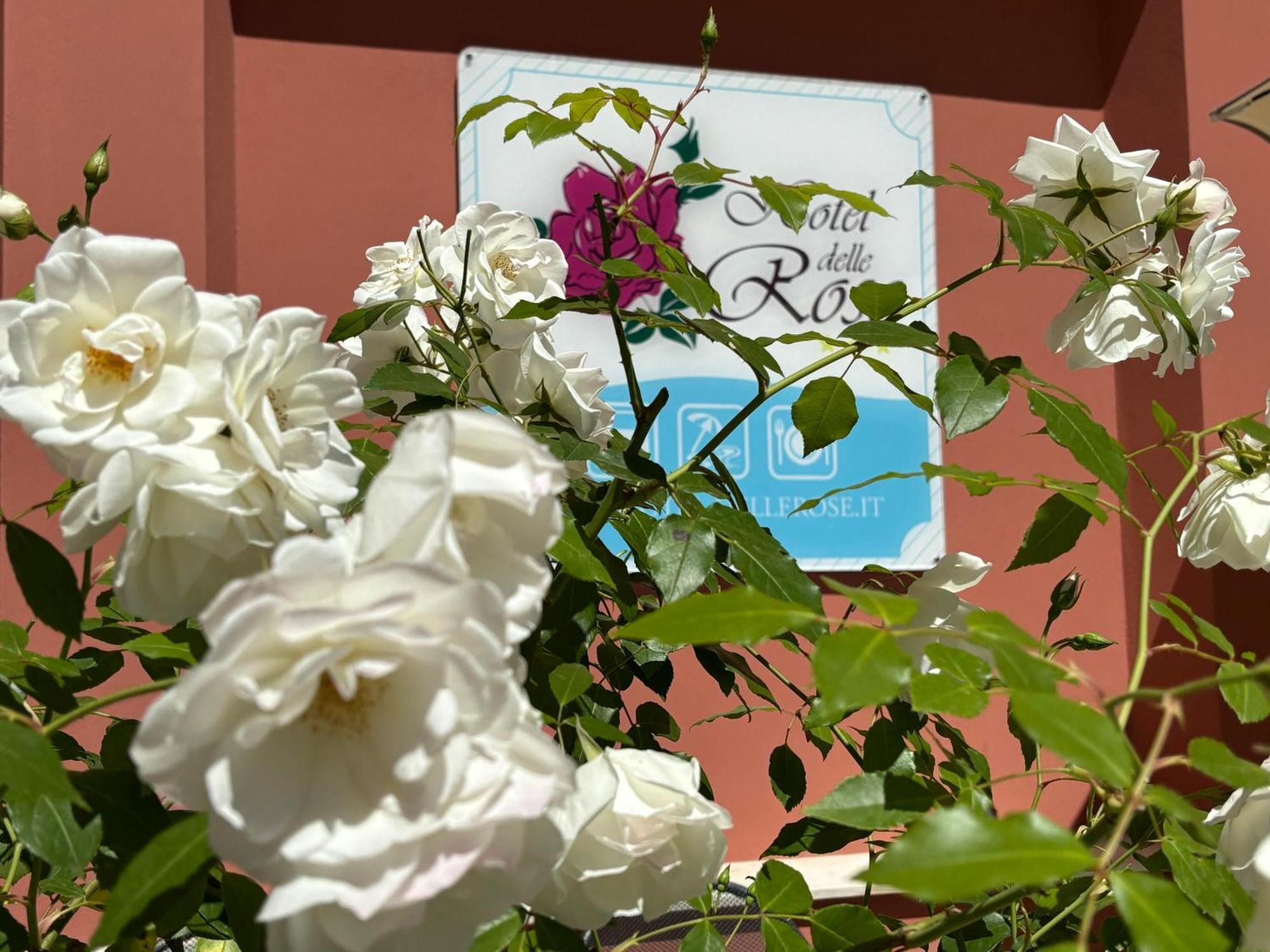 Hotel Delle Rose San Bartolomeo Al Mare Eksteriør billede