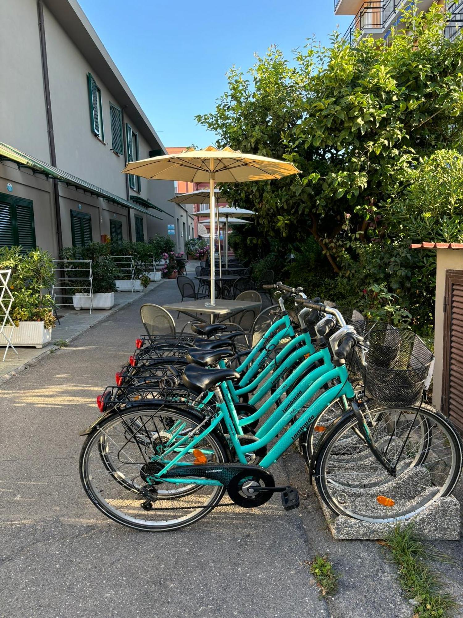 Hotel Delle Rose San Bartolomeo Al Mare Eksteriør billede